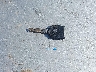 1FTPW14V06F****** Salvage 2006 Ford F-150 in Texas State