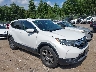 2HKRW2H55KH****** Salvamento y Destrozados 2019 Honda CR-V en Templeton