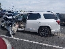 1GKKNXLS6LZ****** Usados 2020 GMC Acadia en Estado de Tennessee