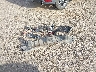 2G1WC581469****** Wrecked 2006 Chevrolet Impala in Texas State