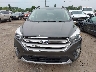 1FMCU9HDXKU****** Wrecked 2019 Ford Escape in Michigan State