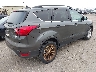 1FMCU9HDXKU****** Salvage and Wrecked 2019 Ford Escape in Michigan State