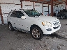 4JGBB86E09A****** Salvamento y Destrozados 2009 Mercedes-Benz ML 350 en Fort Pierce