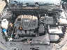 5XXGM4A75DG****** Repairable 2013 Kia Optima in Sayreville