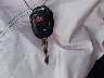 2T3RFREV2EW****** Salvamento 2014 Toyota RAV4 en Estado de California