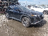 5NMJB3DE4RH****** Salvamento y Destrozados 2024 Hyundai Tucson en Savannah