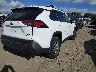 4T3RWRFVXSU****** Salvamento y Destrozados 2025 Toyota RAV4 Hybrid en Estado de Texas