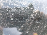 1G1PH5S99B7****** Wrecked 2011 Chevrolet Cruze in Georgia State