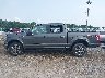 1FTEW1EG8FF****** Salvamento 2015 Ford F-150