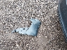 1G1ZB5ST8LF****** Destrozados 2020 Chevrolet Malibu en Estado de Ohio