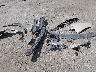 2LMDJ6JK0EB****** Destrozados 2014 Lincoln MKX en Estado de Kansas