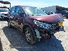 2HKRM3H37FH****** Salvage and Wrecked 2015 Honda CR-V in East Bay