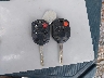 1FADP3F23FL****** Salvage 2015 Ford Focus in New Jersey State