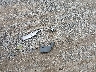 4T1BF1FK9EU****** Destrozados 2014 Toyota Camry en Estado de Ohio