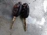 4T1BF1FK9EU****** Salvamento 2014 Toyota Camry en Estado de Ohio