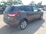 1FMCU0GX5FU****** Salvamento y Destrozados 2015 Ford Escape en Estado de Illinois