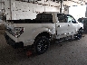 1FTFW1ET8DF****** Salvamento y Destrozados 2013 Ford F-150 en Estado de Minnesota