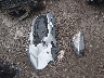 3MYDLBYV4HY****** Destrozados 2017 Toyota Yaris en Estado de Ohio