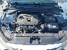 5NPD84LF4KH****** Repairable 2019 Hyundai Elantra in Clearwater