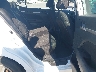 5NPD84LF4KH****** Wrecked 2019 Hyundai Elantra in Clearwater
