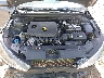 5NPD84LF2KH****** Repairable 2019 Hyundai Elantra in Gulf Coast