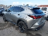 JTJHKCFZ0S2****** Salvamento y Reparables 2025 Lexus NX en Anaheim Consolidated