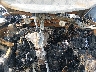 4T1BF1FK1EU****** Repairable 2014 Toyota Camry in Savannah