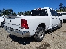 1D7RV1GP5AS****** Salvage and Wrecked 2010 Dodge Ram 1500 in Washington State