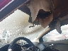 1FADP3K24EL****** Wrecked 2014 Ford Focus in Utah State