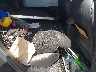 4S4GUHM64S3****** Wrecked 2025 Subaru Crosstrek in Clearwater