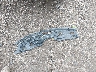5N1DR2MN8JC****** Wrecked 2018 Nissan Pathfinder in Indiana State
