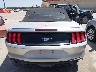 1FATP8UH4K5****** Destrozados 2019 Ford Mustang