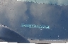 3GNAX5EV0LS****** Salvage 2020 Chevrolet Equinox