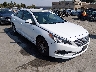 5NPE24AF3GH****** Salvage and Wrecked 2016 Hyundai Sonata in Fremont
