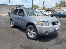1FMYU03107K****** Salvamento y Destrozados 2007 Ford Escape en Ace Perris