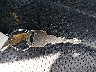 1GCCS19W028****** Salvamento 2002 Chevrolet S-10 en Estado de Luisiana