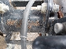 L6ZSCJLA6M1****** Used 2021 Coolster Atv in Salt Lake City