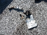 3NSNAE928MF****** Destrozados 2021 Polaris RZR en Estado de Nebraska