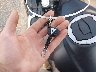 ML5EXGH14TD****** Salvage 2026 Kawasaki Ninja 500 in Maryland State