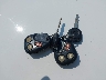 1GNDT13S422****** Salvamento 2002 Chevrolet Trailblazer en Estado de Washington
