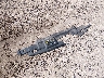 2MEFM75W25X****** Destrozados 2005 Mercury Grand Marquis en Estado de Wisconsin