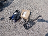 JM1BK32F381****** Wrecked 2008 Mazda 3 in New York State