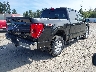 1FTFW1ED2PF****** Salvage and Wrecked 2023 Ford F-150 in Washington State