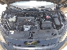 19XFC2F6XKE****** Reparables 2019 Honda Civic en Phoenix