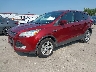 1FMCU0GX1FU****** Usados y Reparables 2015 Ford Escape en Saint Louis