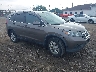 5J6RM4H72EL****** Salvage and Wrecked 2014 Honda CR-V in Buffalo
