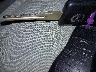 5N1AR18UX9C****** Salvage 2009 Nissan Pathfinder in Arizona State