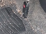 JTDKDTB39C1****** Salvage 2012 Toyota Prius C in Colorado State