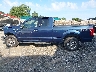 1FTFX1EF9FF****** Salvamento 2015 Ford F-150
