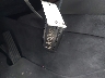 WBA5A7C54ED****** Salvage 2014 BMW 528i in Maryland State